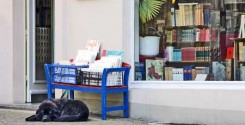 A176364_7990bookshop450