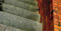 copyright cdsessums / Flickr