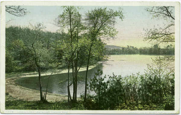 Thoreau's cove at Walden Pond