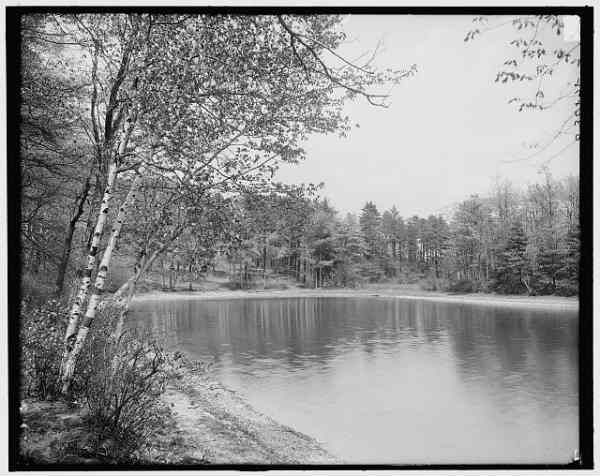 Thoreau's Cove at Walden Pond, 1910. Library of Congress
