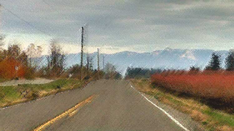boundary road, with blueberries