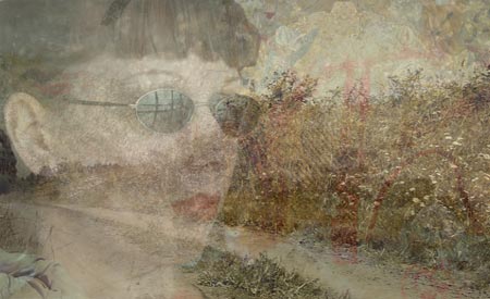collage copyright D. Raphael