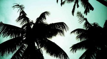 Burma. Photo credit: https://www.flickr.com/photos/focusc/6511325865