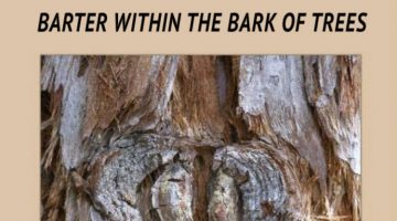 Latif Harris - Barter Within the Bark of Trees - Poetry