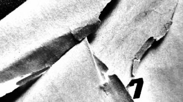 oblivion 1 (detail) - visual poetry by hiromi suzuki