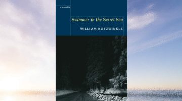 Swimmer in the Secret Sea - William Kotzwinkle