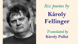 Karoly-Fellinger-Pallai