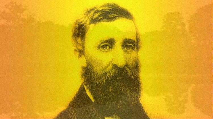 Mr. Henry David Thoreau
