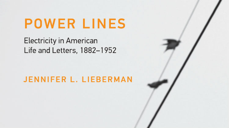 Shock Of The New Jennifer L Lieberman Power Lines And - 