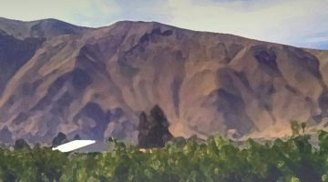 summer hills / credit: de