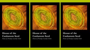 House of the Cardamom Seed by Penelope Scambly Schott