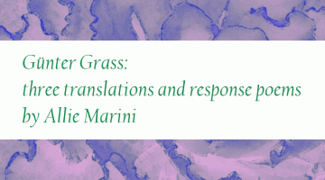 gunter grass translated by allie marini