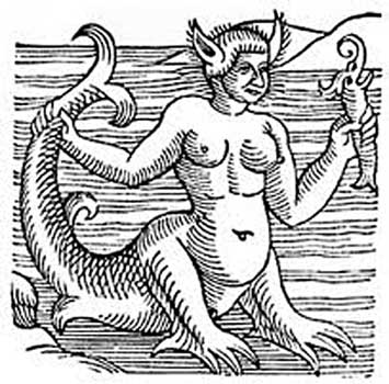 mermaid