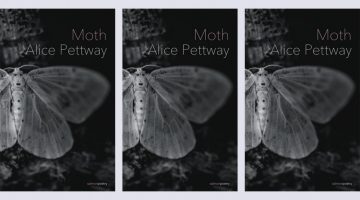 Moth by Alice Pettway - Salmon Poetry