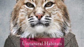UNNATURAL HABITATS & OTHER STORIES by Angela Mitchell